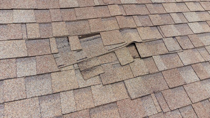 Asphalt Shingle Repair - Damaged Area