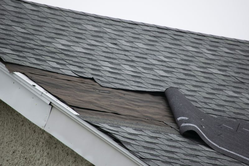Reinforcing Worn Shingles